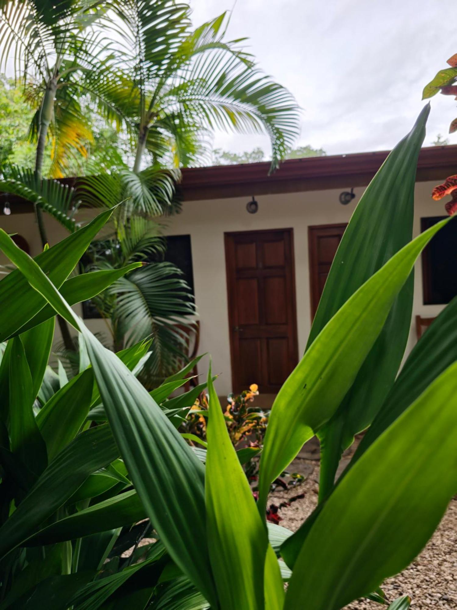 Buddha Retreat Hotel San Juanillo Exterior photo