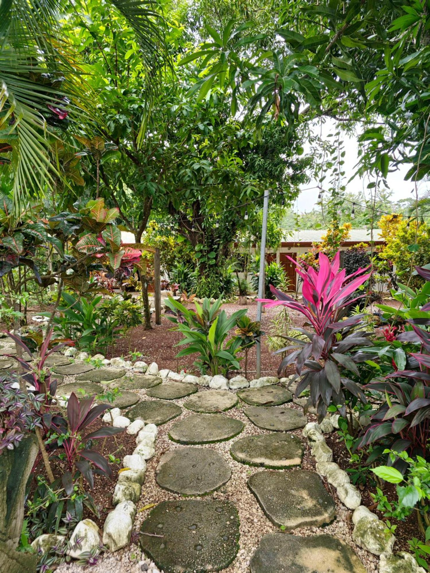 Buddha Retreat Hotel San Juanillo Exterior photo